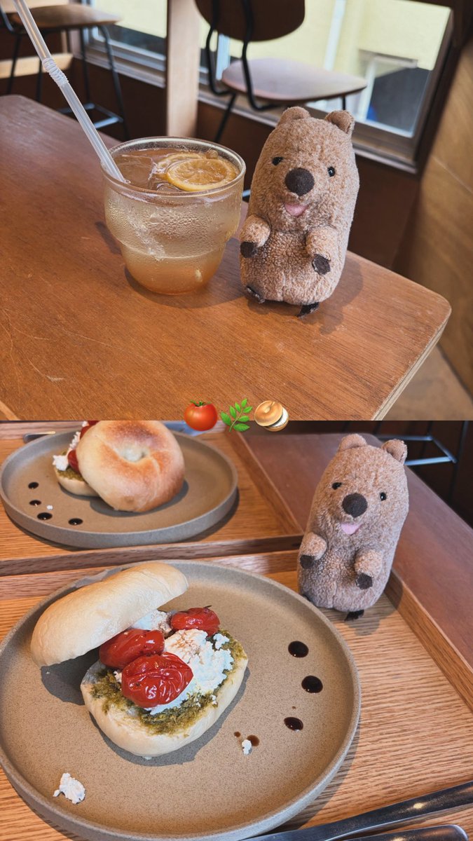 wonchan_donguri's tweet photo. べーぐるのお店にいったよ🥯
ばじるのかおり(◍´꒳`◍)ﾎﾜﾜｰ🌿
おいちかったなあ🥺︎ https://t.co/3ULKxvVesa