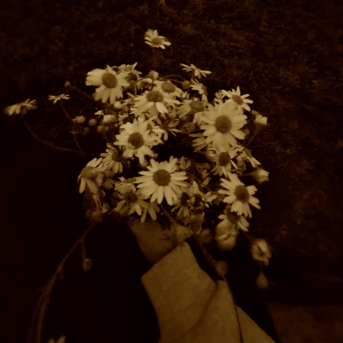 impactonice's tweet photo. ㅤ

  𝗚͟𝗜͟𝗚͟𝗜͟.𝗚͟𝗥͟𝗔͟𝗛͟𝗔͟𝗠  𝗣𝗢𝗦𝗧𝗘𝗗:
                       🌼
     𝙩𝙝𝙤𝙪𝙜𝙝𝙩 𝙩𝙝𝙖𝙩 𝙘𝙤𝙪𝙣𝙩𝙨 https://t.co/l2An1KPdh4