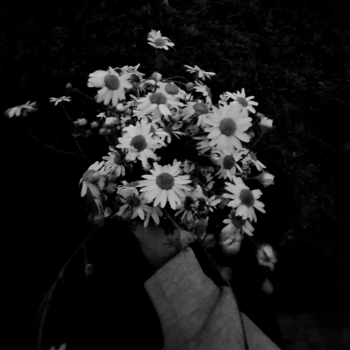 impactonice's tweet photo. ㅤ

  𝗚͟𝗜͟𝗚͟𝗜͟.𝗚͟𝗥͟𝗔͟𝗛͟𝗔͟𝗠  𝗣𝗢𝗦𝗧𝗘𝗗:
                       🌼
     𝙩𝙝𝙤𝙪𝙜𝙝𝙩 𝙩𝙝𝙖𝙩 𝙘𝙤𝙪𝙣𝙩𝙨 https://t.co/l2An1KPdh4