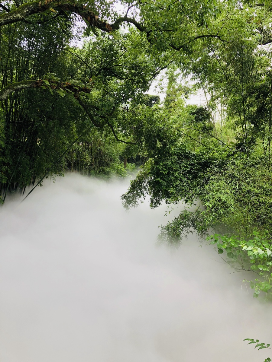 chane_gobe376's tweet photo. In the misty countryside, Zhang Jiao stops by the roadside, with dewdrops sticking to his coat gently. https://t.co/w6sRLVN9gU