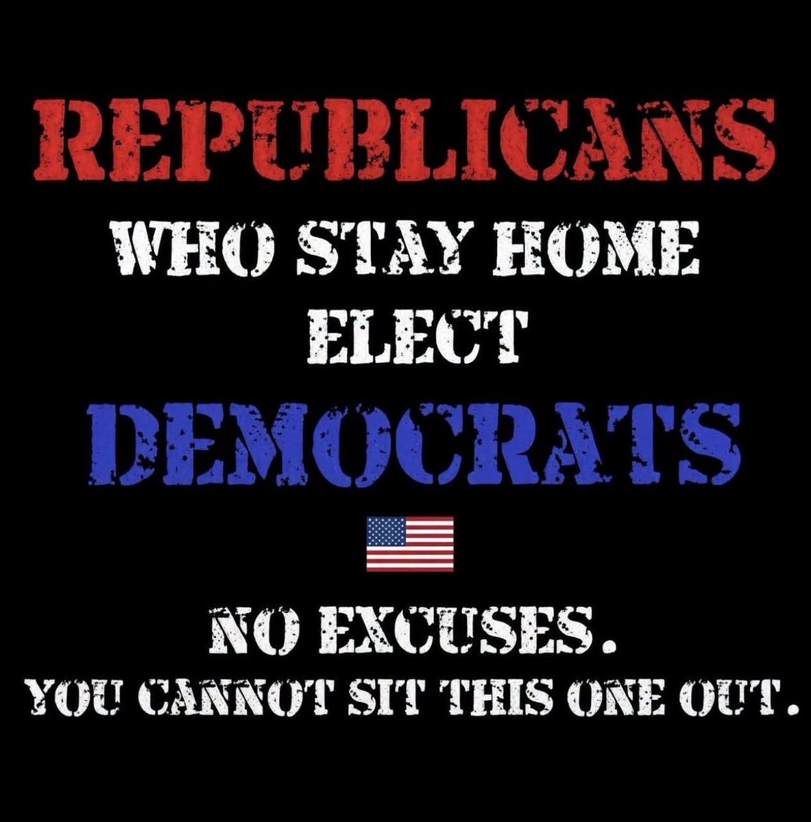 MAGA__Patriot's tweet photo. GO VOTE! https://t.co/qDH6eYm425