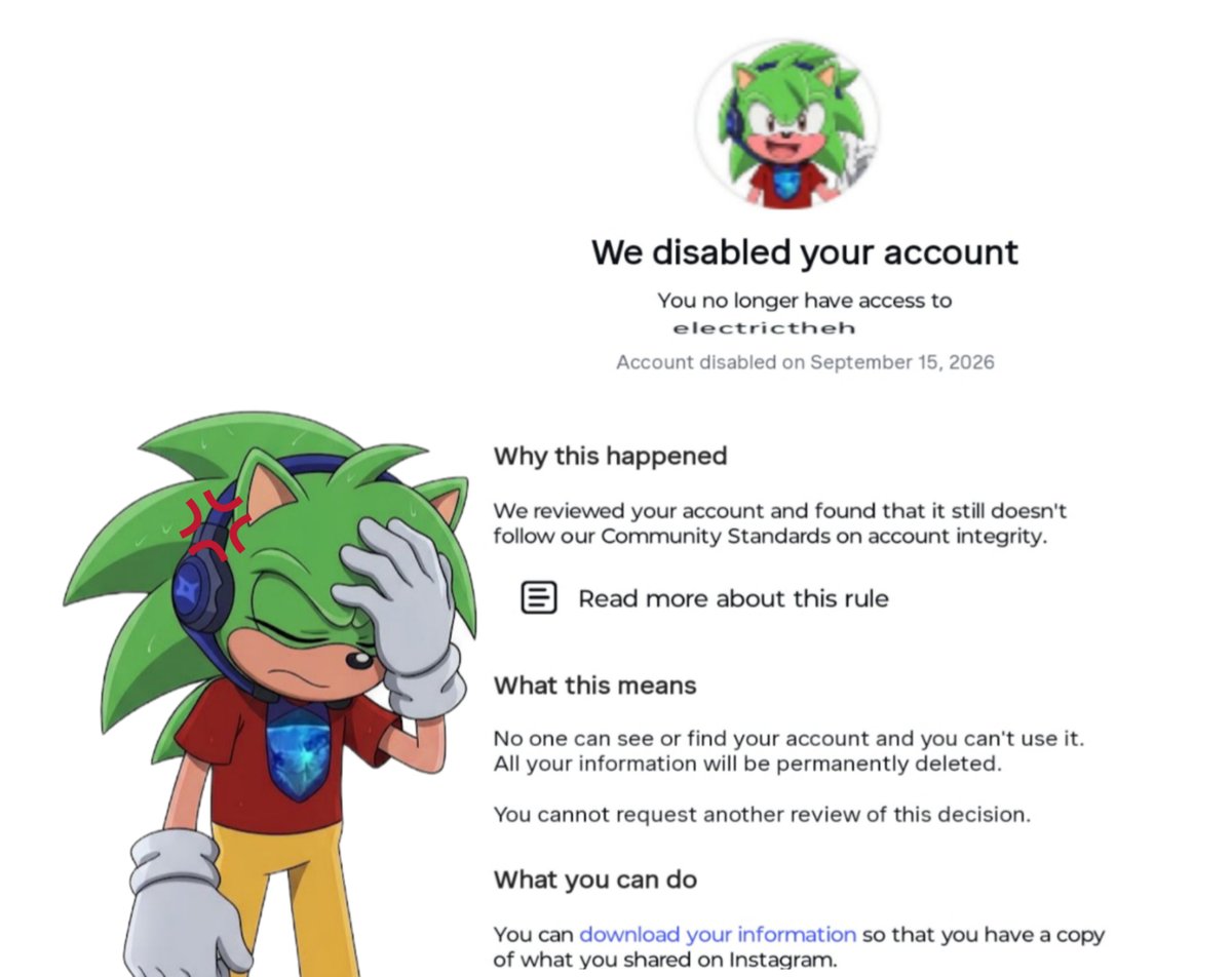 electrichedgeh tweet picture