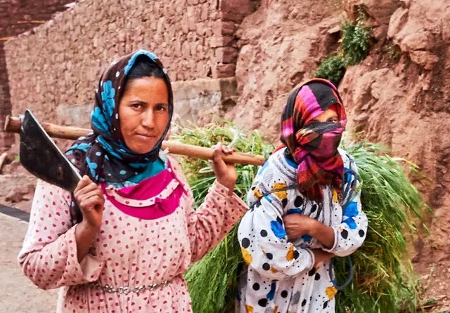 Gojinflower's tweet photo. @TheTrueBedouin @aprilflowersmay @0ssaamaa @CityDNAx Keep living in delusion niggeroccon.

Anyone would want our food even if it “came from banaadirmutts” instead of the shit ur calling cuisine

And lets not do “who can dress better” thing because ur “better” clothings are just from the middle east or modern ones. https://t.co/zKdvxawJqX