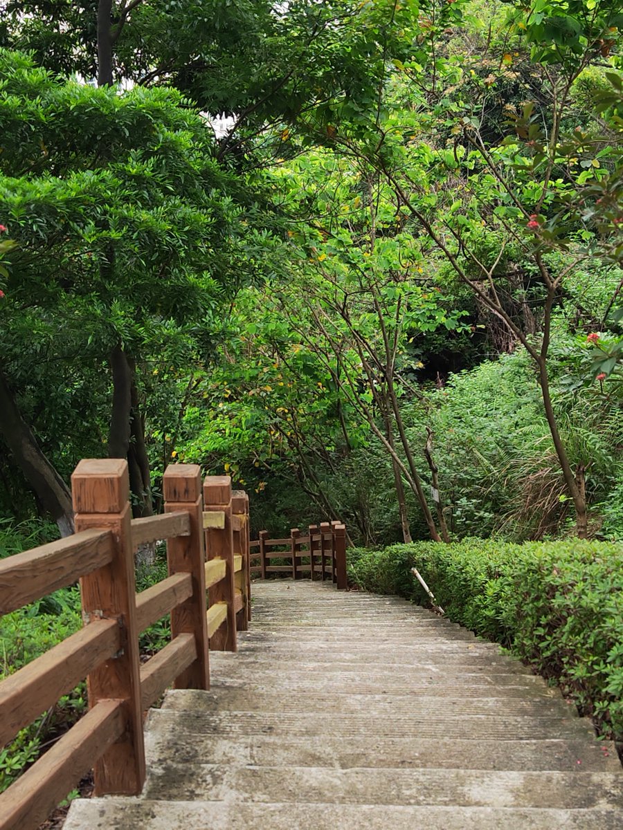 alskppoo1's tweet photo. [Wandering the forest path, stepping carefully on the green stone steps marked 碧径阶, breathing in the fresh pine air—nature’s little secret spot is so calming ]， https://t.co/TJuYltTT9N