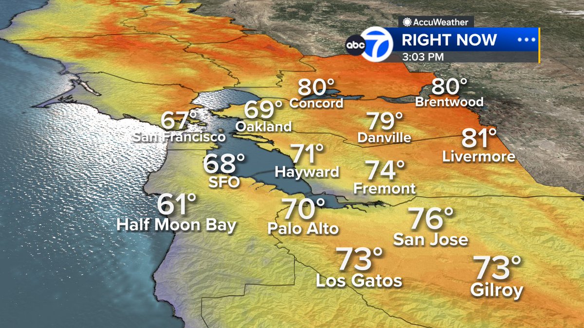 SandhyaABC7 tweet picture