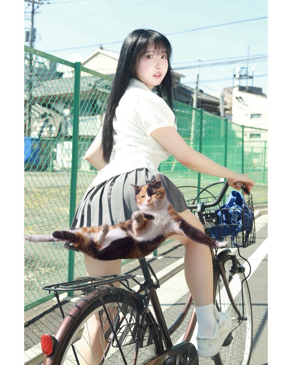 Ringo_Lyn's tweet photo. チャリを超えるぬこ🐈 https://t.co/e1qtVNuCuK
