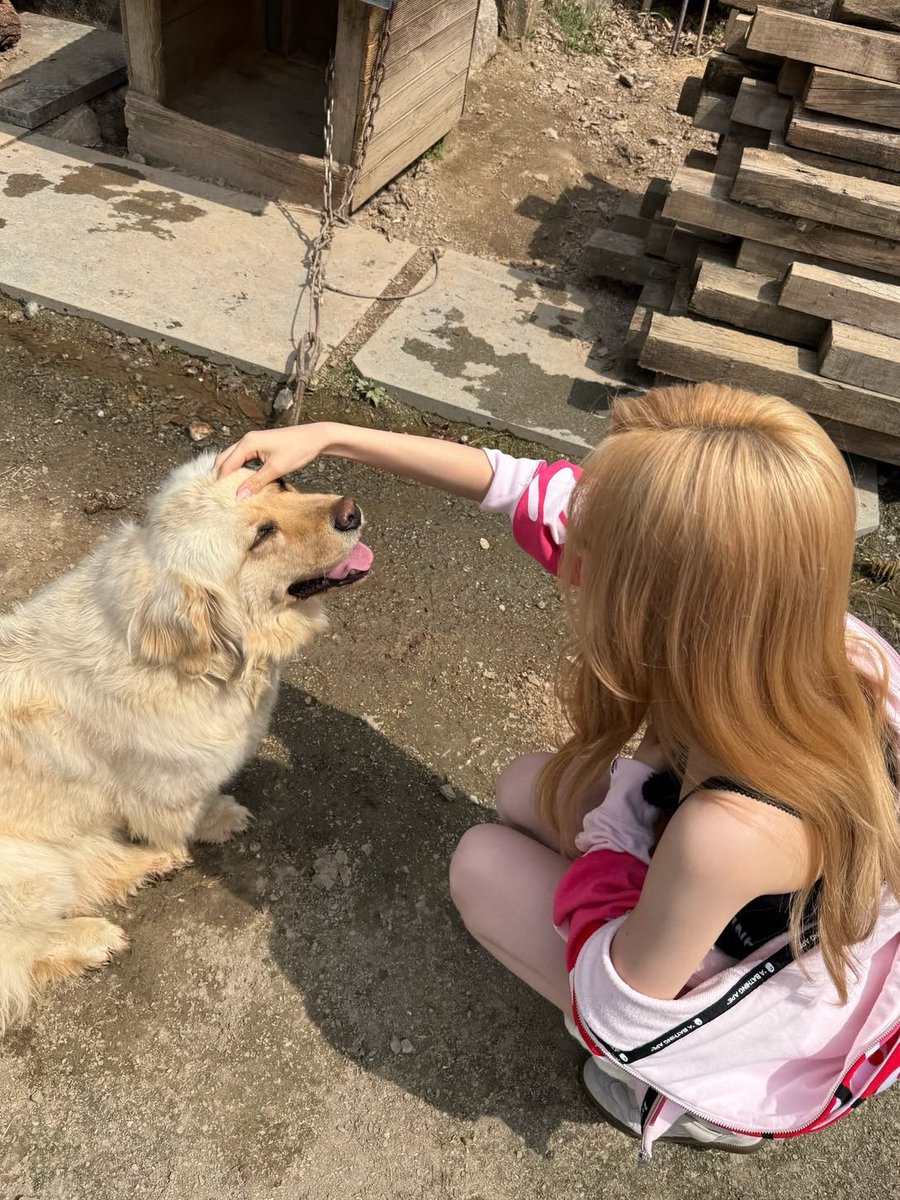 inter6irl's tweet photo. https://t.co/f17ULoTtMn