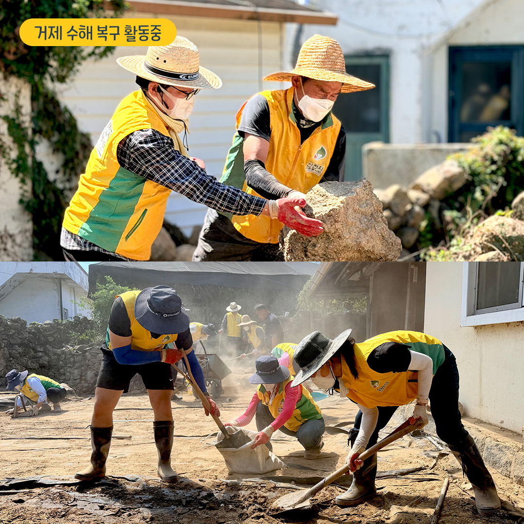 scjchurch's tweet photo. 💛 거제 수해 복구 봉사이야기

지난 8월, 경남 거제에 쏟아진 집중호우로 
집과 일터가 물에 잠겼습니다. 🏠💧

물이 빠진 뒤에도 바닥에는 두꺼운 진흙이, 
집 안에는 흙탕물에 젖은 살림살이가 남아 있었습니다.

긴급 복구가 마무리된 뒤에도 
주민분들에게는 감당하기 어려운 일들이 
산더미처럼 남아 있었는데요.

그때, 신천지자원봉사단이 
다시 도움이 필요한 현장을 찾았습니다. 🤝

봉사자들은 진흙을 퍼내고 
살림살이를 하나하나 씻었습니다. 

피해 농가에서는 폐기물을 정리하고 
무너진 돌담을 다시 쌓으며 
주민들의 일상 회복에 힘을 보탰습니다.

긴급 복구 이후에도 도움이 필요한 곳에 
따뜻한 손길이 닿을 수 있도록. 

신천지자원봉사단은 주민분들이 
평범한 하루를 되찾는 길에 함께하겠습니다. 🏡✨

#신천지자원봉사단 #거제수해복구 #수해복구봉사 #일상회복 #따뜻한동행
