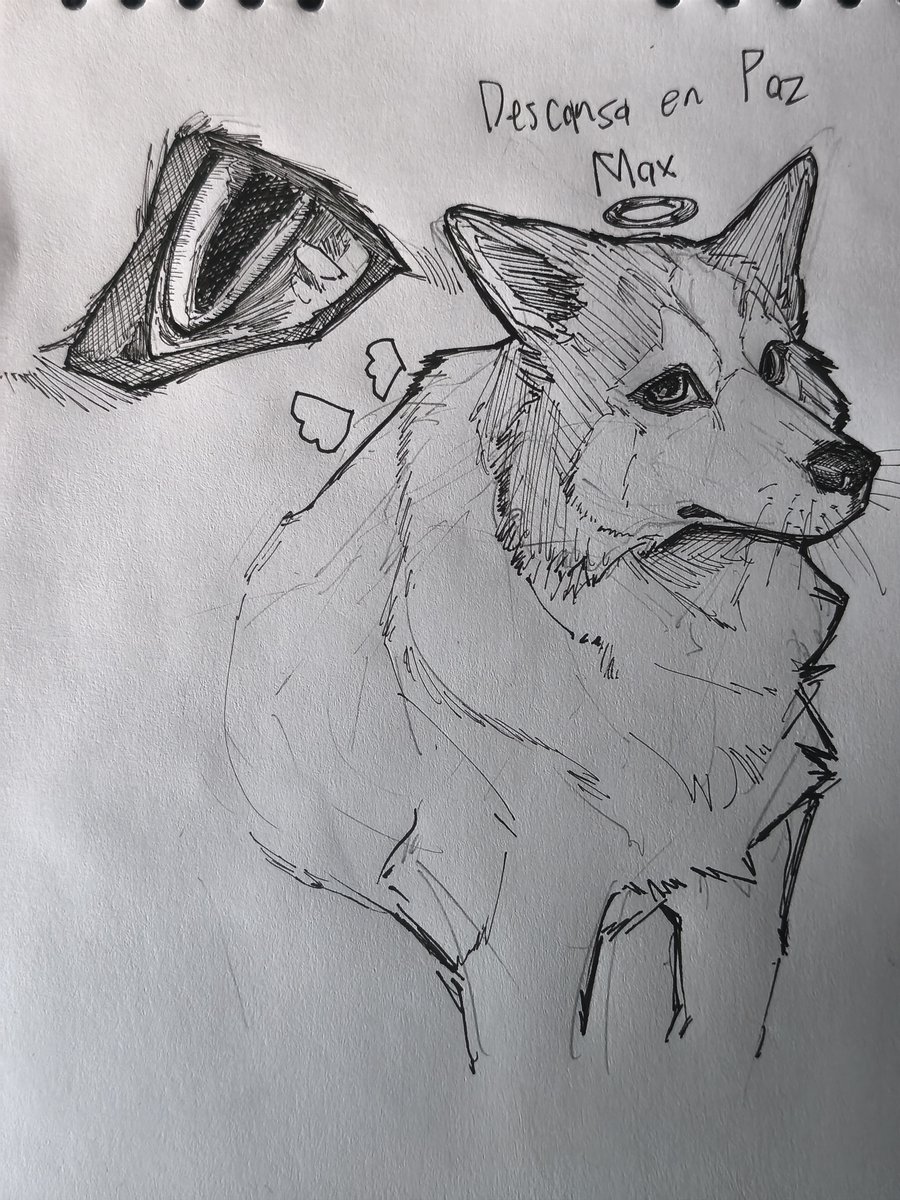 Just_Rayl's tweet photo. Before retiring completely from here, just wanted to dedicate a small space here for one of the best things that ever happened to my life.
He made my life happier and showed me more than anyone else ever could and I will try to live a happy life in his name. Rest easy, Max. https://t.co/BX1KHGZdEQ