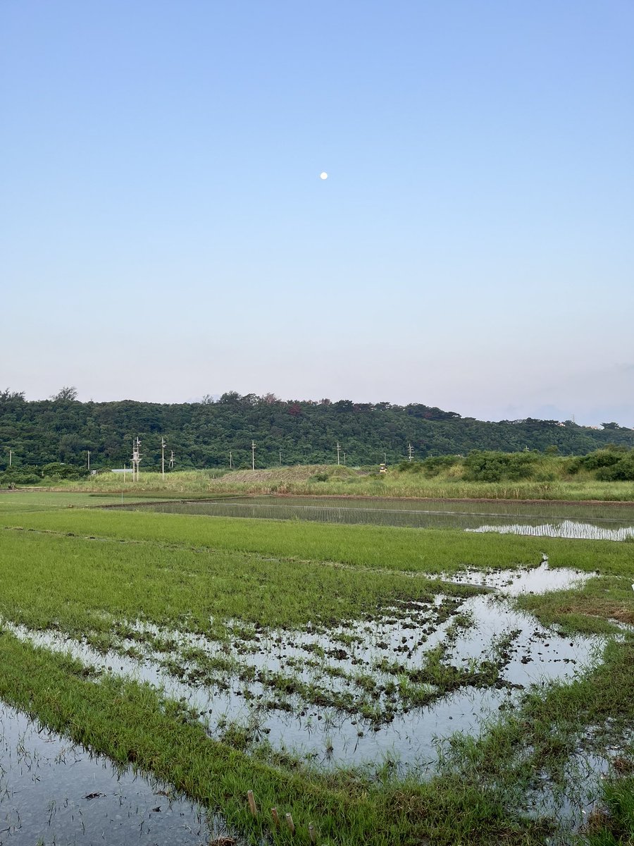 kamerunnerdesu's tweet photo. しごまえラン7K。27度晴れ。湿度は高いけど風が涼しくて走りやすかった。最長記録更新中。明日が楽しみ🏃‍♂️‍➡️⛰️
#朝ラン #garmin #beatyesterday https://t.co/eFAtTjHn3P