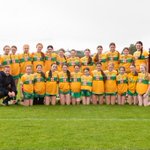 Photo by KilcormacKillougheyCamogieClub (@KilcormacC)
