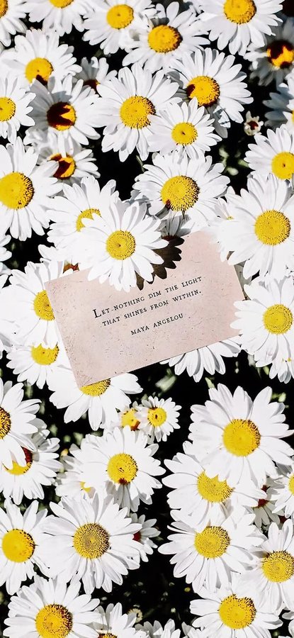 WillenaSwast6's tweet photo. FLOWER
. https://t.co/12ir6ok2B3