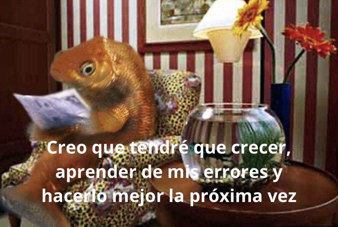 conoloracigarro's tweet photo. https://t.co/OGoaFVo9pA
