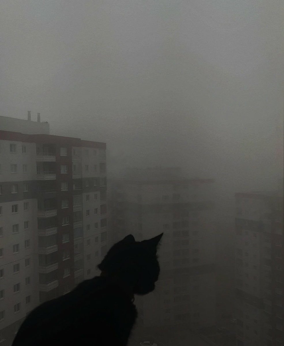 fallnpsych0path's tweet photo. 𝙰𝚌𝚌𝚘𝚞𝚗𝚝𝚊𝚋𝚒𝚕𝚒𝚝𝚢 𝚝𝚑𝚛𝚎𝚊𝚍 
28/09 - 30/10🤍 https://t.co/oipfZ0taKD