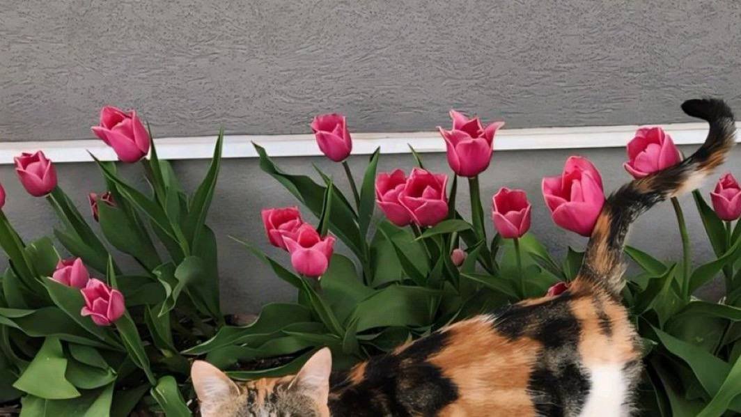 9vjeg's tweet photo. سعـوديه فاتنة تمتلك من الجمال ما يغري بلدة كاملة .🎀 https://t.co/PLcrgnN2wI