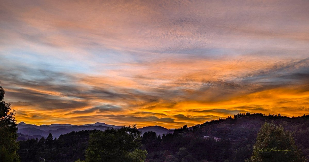 LdeSignalas's tweet photo. Ciel en feu ..
#photography #pano #scape #dusk #sunset #PanoPhotos #nature
.. https://t.co/wyqTA0pfYP