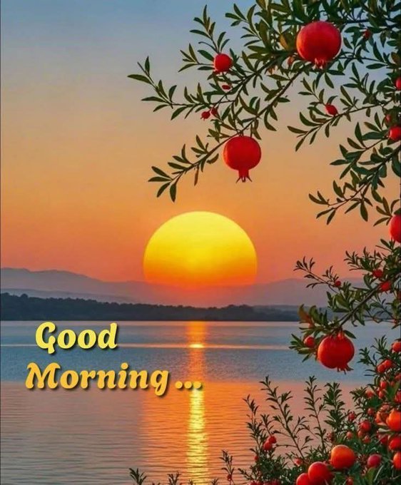A scenic sunset over a calm body of water with pomegranate branches in the foreground and the text 'Good Morning...' in yellow lettering.