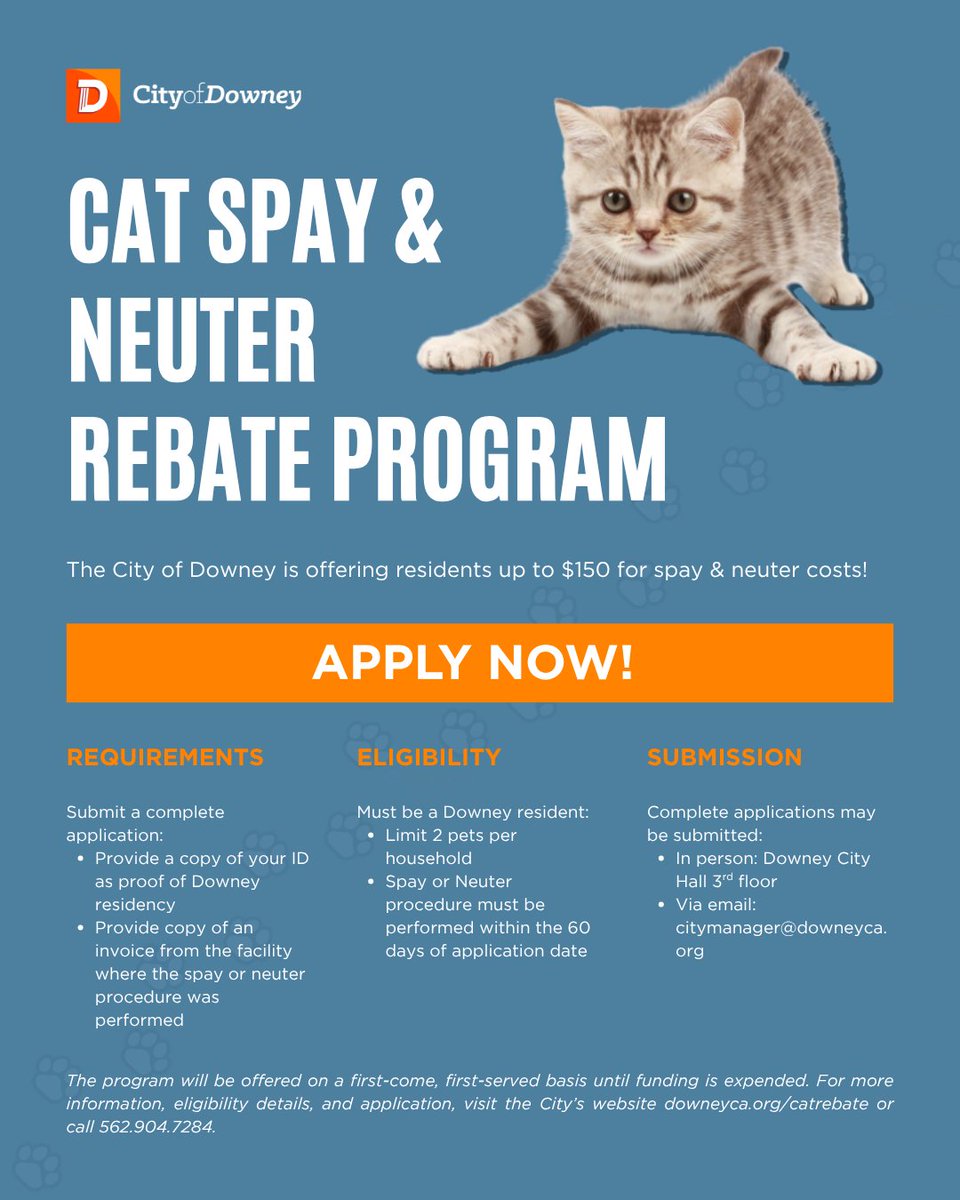 CityofDowney's tweet photo. Downey residents may receive up to $150 toward cat spay or neuter costs through the City’s Cat Spay &amp; Neuter Rebate Program.

✔️ Up to 2 pets per household
✔️ First-come, first-served while funding lasts

Apply: https://t.co/lH1P2KbcaO

#CityofDowney #DowneyCA #CatRebate https://t.co/vYulMvYWLC