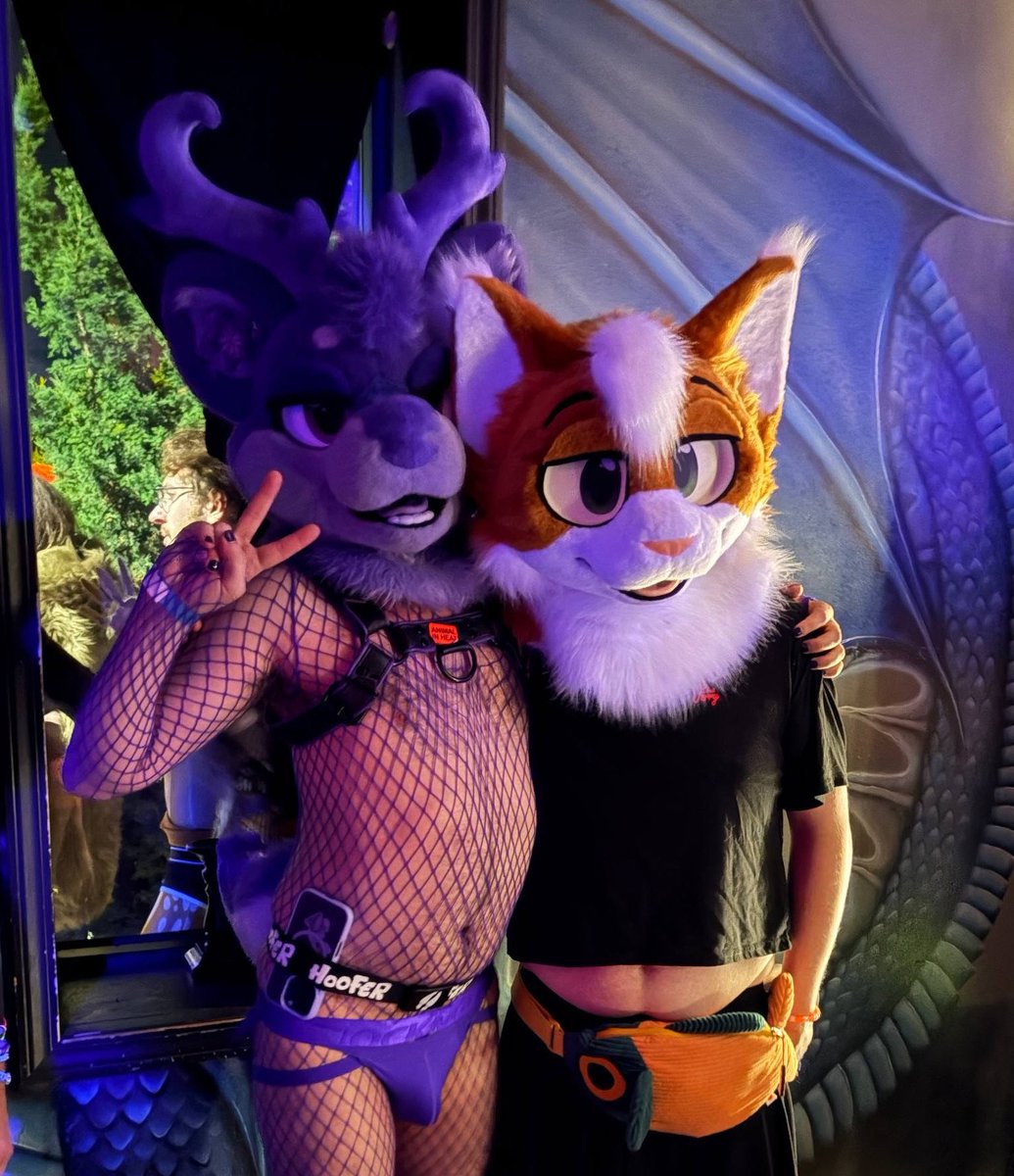 ItsTheLavendeer's tweet photo. PREY AND FANG?! The Midwest furry tour was a success! 💜💜 https://t.co/N53pdTJidA
