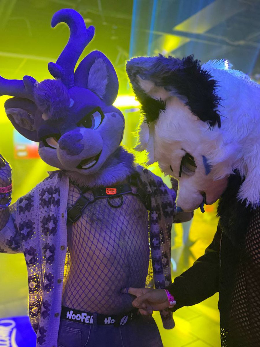 ItsTheLavendeer's tweet photo. PREY AND FANG?! The Midwest furry tour was a success! 💜💜 https://t.co/N53pdTJidA