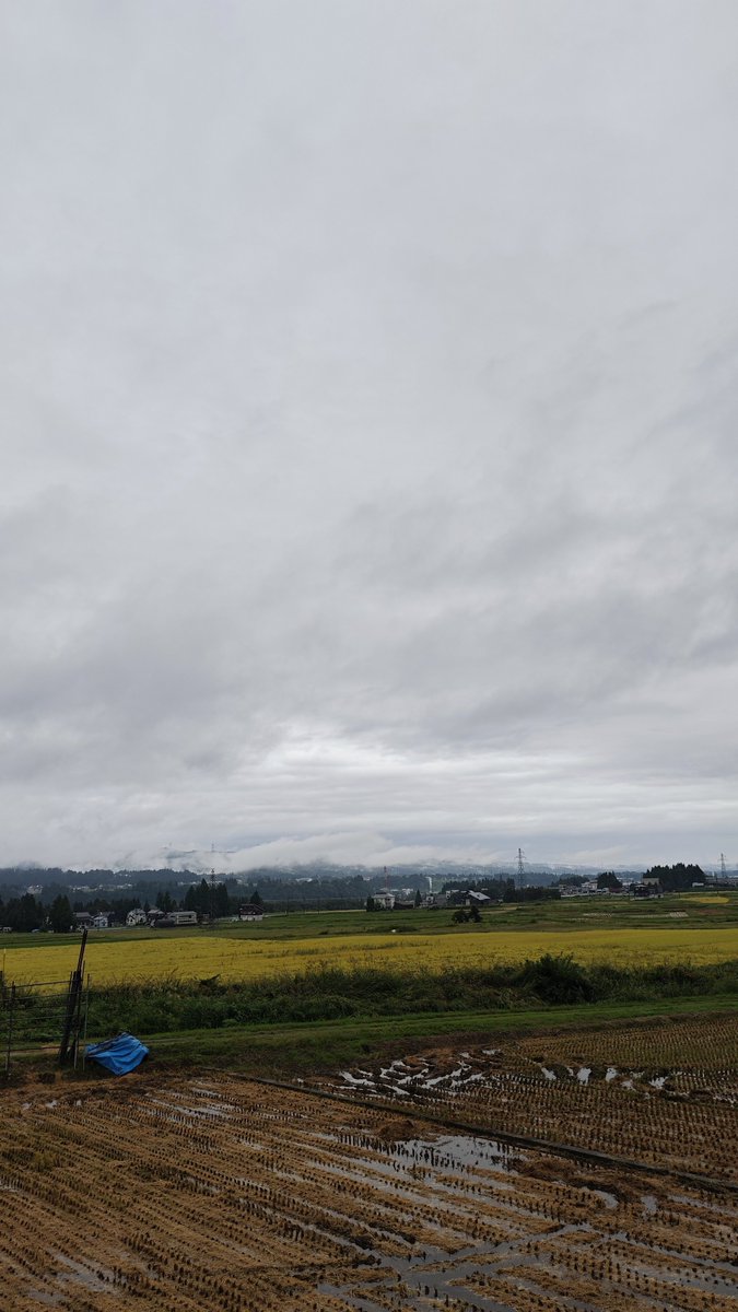 kainotorapong's tweet photo. 今日も小雨の十日町市☔
小学校は学級閉鎖
インフルが猛威をふるっています
#hl775 https://t.co/CAIJCa37TZ