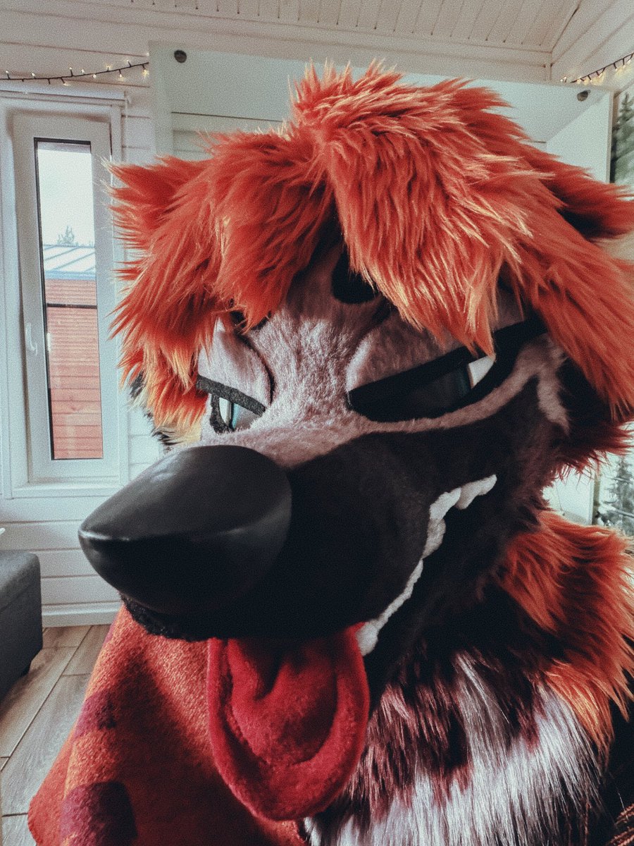 foxprod_1's tweet photo. Just felt like being a fluffy idiot today 🐺❤️
.
.
.
#Fursuit #Furry #Fursuiter #Anthro #FurryCommunity #FurryFriends https://t.co/TmSWDqlZSm