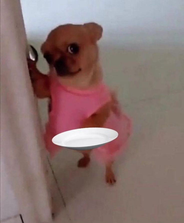 HEEWKND_'s tweet photo. @myevanshimr Eu gostaria de merendar 🥺 https://t.co/S9XJG9gwzW