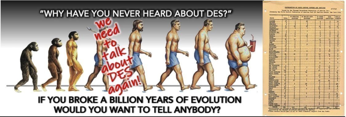 LaskerKidz's tweet photo. You liars said the same thing about DES or diethylstilbestrol.
For 35 years you pushed untested estrogenic drugs on pregnant poor.
Today, YOU people created the sexually dysmorphic, sterile generations when @PPFA pushed DES on the pregnant poor, E. European immigrants & Black poor in the innercities.
YOU ARE A LIFE ENDER,.
WASTEFUL SPENDER.
SO GLAD YOU WILL BE GONE.
You will be blamed.
Vanity is but one of the unbreathingest sins.
