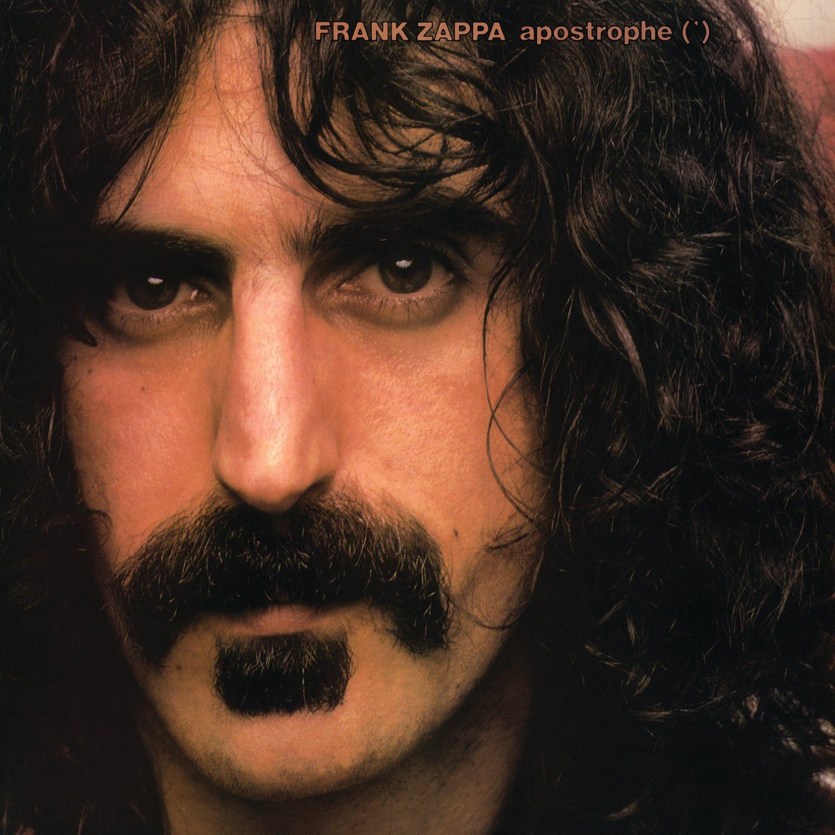 s_trooth's tweet photo. Most people know, " watch out where the Huskies go and don't you eat that yellow snow", from this album.

What other lyrics/quotes from Frank Zappa do you use? https://t.co/lroW3qZqEE
