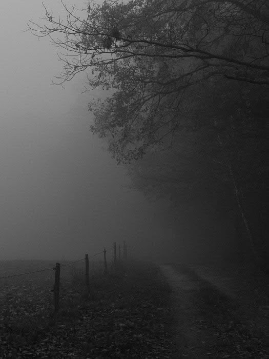 fallnpsych0path's tweet photo. 𝚁𝚞𝚕𝚎𝚜  

𝙼𝚒𝚗. 10𝚔 𝚜𝚝𝚎𝚙𝚜 𝚊 𝚍𝚊𝚢 
1.5𝙻 𝚠𝚊𝚝𝚎𝚛 𝚍𝚊𝚒𝚕𝚢 
𝙰𝚝 𝚑𝚘𝚖𝚎 𝚠𝚘𝚛𝚔 𝚘𝚞𝚝 3𝚡 𝚊 𝚠𝚎𝚎𝚔 
𝙼𝚊𝚡 500 𝚌𝚊𝚕 
𝚆𝚎𝚒𝚐𝚑 𝚠𝚎𝚎𝚔𝚕𝚢 https://t.co/NS7SqqOp4C