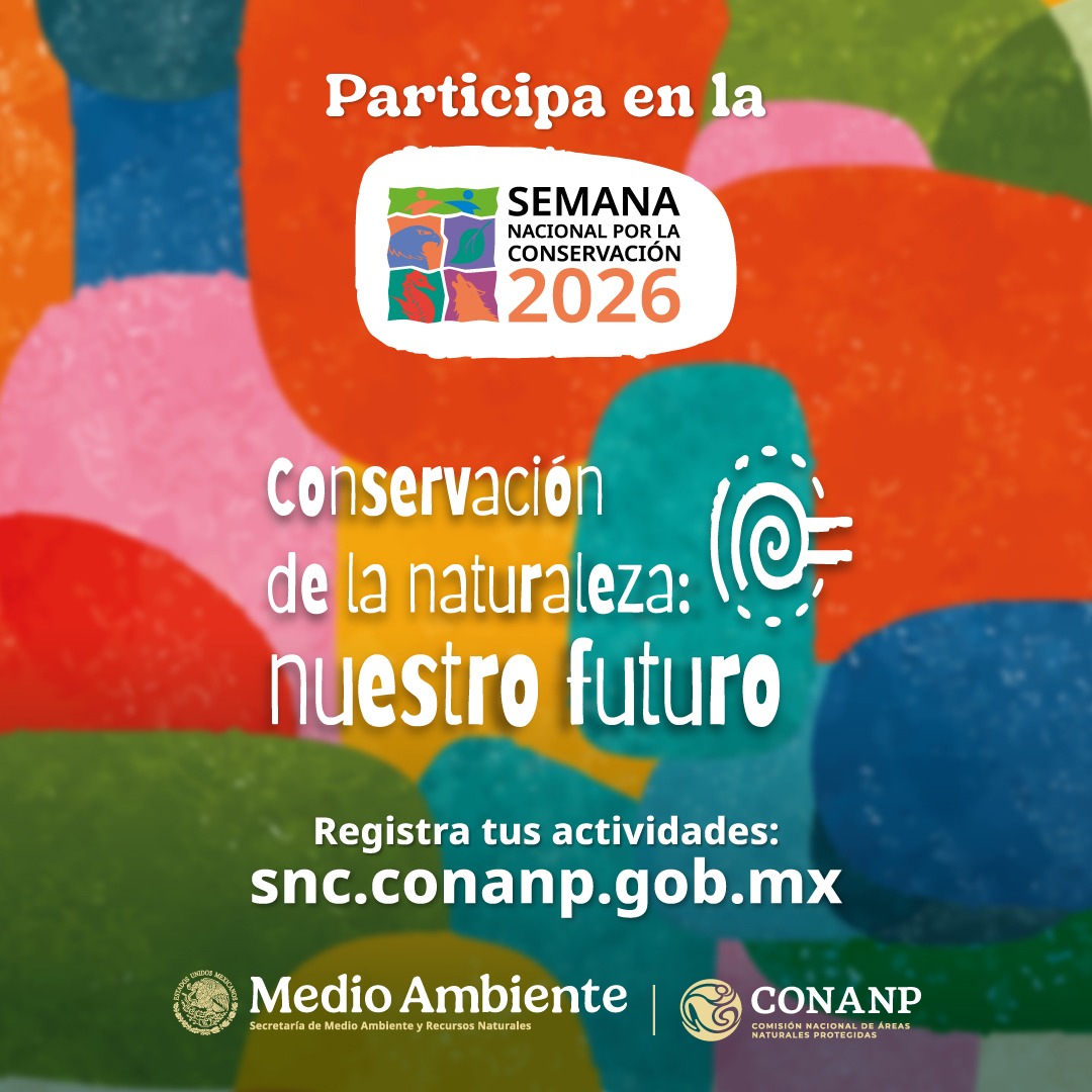 CONANP_mx's tweet photo. La conservación nos une con la #SNC2026, bajo el lema #ConservaciónDeLaNaturaleza. 🥳

Una gran fiesta por la naturaleza que se celebra en todo el país con actividades educativas, culturales, comunitarias y ambientales. 🎉

➡️ https://t.co/QFErpPNNt1 #SomosNaturaleza 🌽🍅🏕️🦝🐢🌅 https://t.co/WLuCBLYIlK
