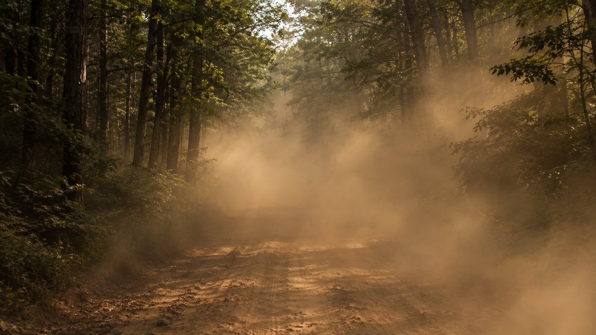 ArijahPM's tweet photo. You ever heard of a road fire? Well now you have!
#DirtRoad #DustyRoad #RoadFire #Forest #City https://t.co/wusFWwvQTm