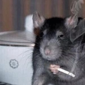 suddendisappear's tweet photo. ooo i sure am Ideating today https://t.co/73uC8BFmXh