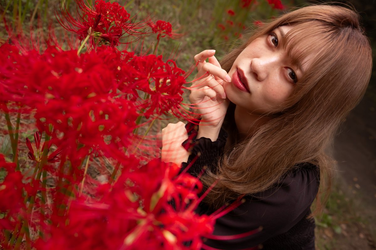 tainophotoroom's tweet photo. なつき さん「Autumn has arrived ～蚊に喰いつかれた日～」⑦

#なつき 被写体垢 (@ntk_23official)
#リクエスト撮影
#CANON #単焦点が好き
#ポートレート #portrait
#ポートレート好きな人と繋がりたい
#名古屋ポートレート
#ファインダー越しの私の世界 https://t.co/YBx8r2gvyr