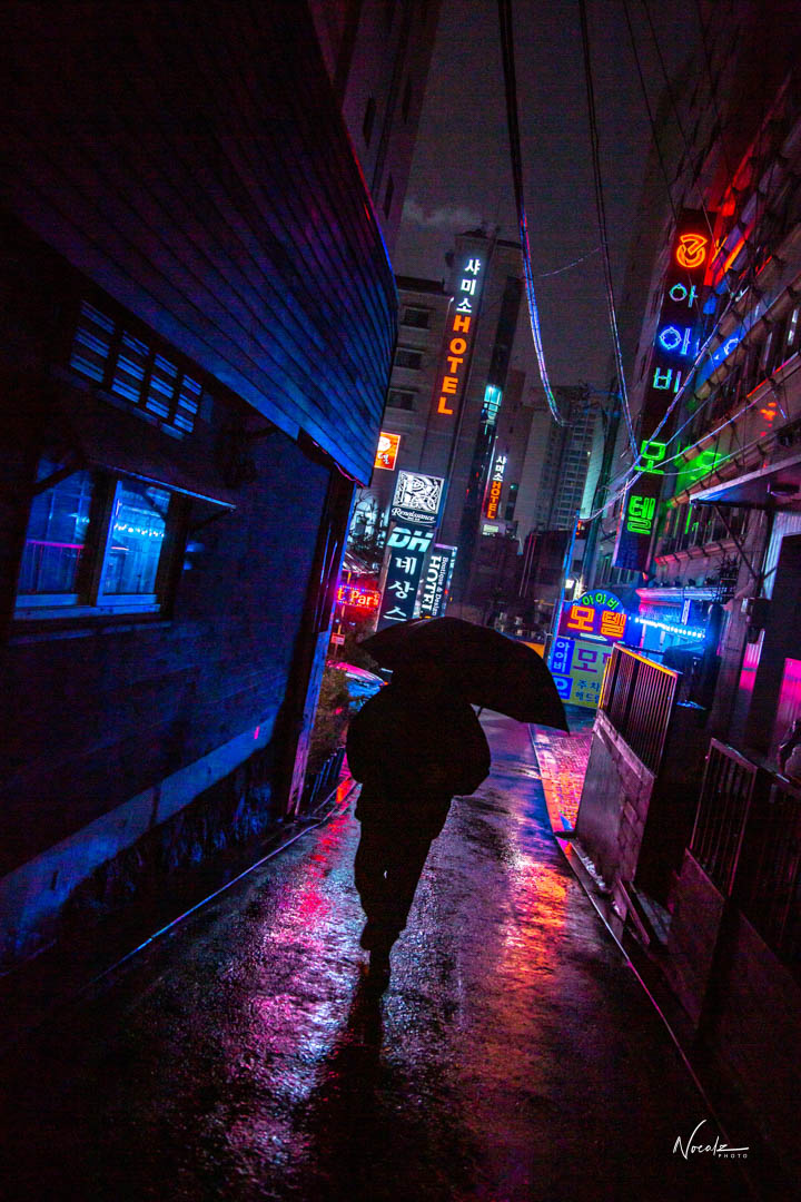 noealz's tweet photo. The streets of Seoul, South Korea https://t.co/LhKCpb8l1K