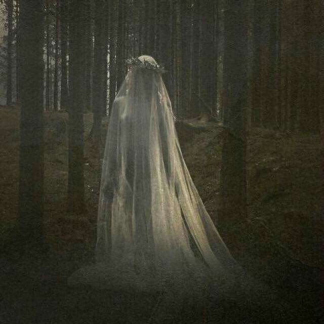hungry_b0nes's tweet photo. It's almost October, friends! 
Here's a creepy, depressed, southern gothic &amp; religious trauma themed thinspo 🧵 for edrtwt with less people but lots of vibes #ricecaketwt 
( Pictures all from Pinterest ) https://t.co/uGqmq65UEo