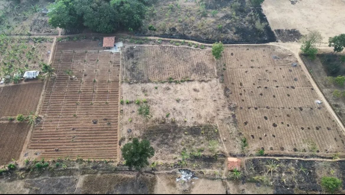 sibambaang's tweet photo. Ada orang Purwakarta spill kondisi kebunnya yang KEKERINGAN PARAH!

Padahal lokasinya deket bendungan TERBESAR se Asia Tenggara 😮‍💨🥺

Kek gitu mau bangun Data Center?
Negara lain aja pada kompak nolak, di sini malah full welcome.

Dunia sedang krisis air. Tahun ini saja udah separah ini, entah tahun depan.

Pemerintahan kita gak punya sense jangka panjang, pikirannya cuma secepat mungkin cuan.