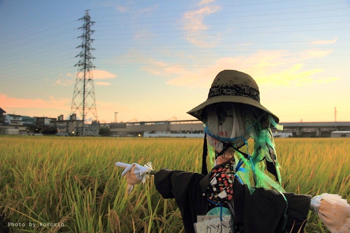 green_time_go's tweet photo. おはようございます☀雨が降るとスーパーに来る高齢者が少なく感じる…なんですがここまで雨が続くとその(独自)法則も崩れる🥴雨もとりあえず今日までなので元気に過ごせたらなと思います🤡今日も素敵な1日が過ごせますように🍀https://t.co/Gztei4ZvEy https://t.co/1EGOAvCKOQ