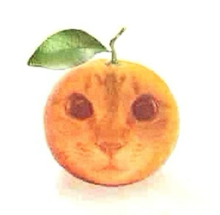 DeathKli's tweet photo. Hehe, cats, dogs!

I had to accept that I was worthless. It's impossible to live with it. I just want it to be over.

It's just cats and dogs! X, don't block me! https://t.co/dZMJFihFVi