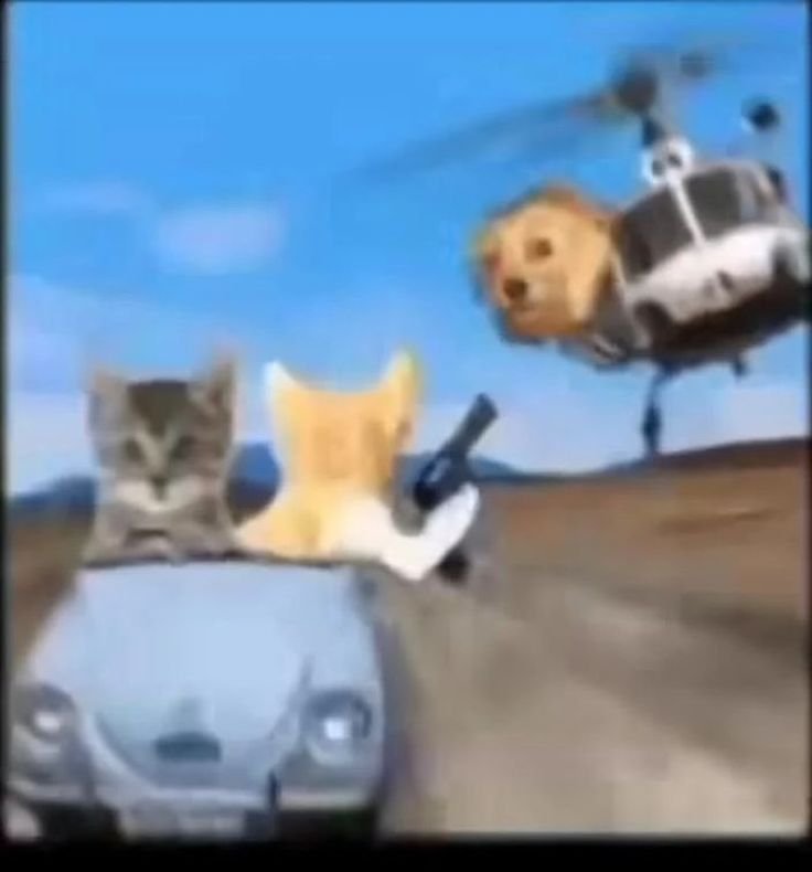 Rotten_Agi's tweet photo. @AngusMcFifePT @DirtMaggotEater Just find funny images and scroll through them for a few hours idk my Pinterest is full of them https://t.co/Igy2xgilFv