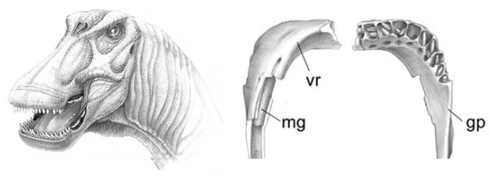 HodariNundu's tweet photo. So long, creepy grinning sauropods of my childhood! Welcome, weird four legged bird turtles of the new milennium :B https://t.co/ug5OzGYDob
