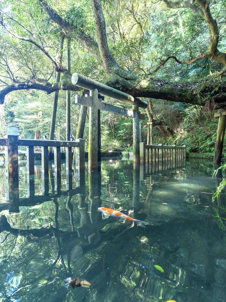 3m1ek's tweet photo. 全国の美しい水上鳥居 https://t.co/XcdmSlMo87