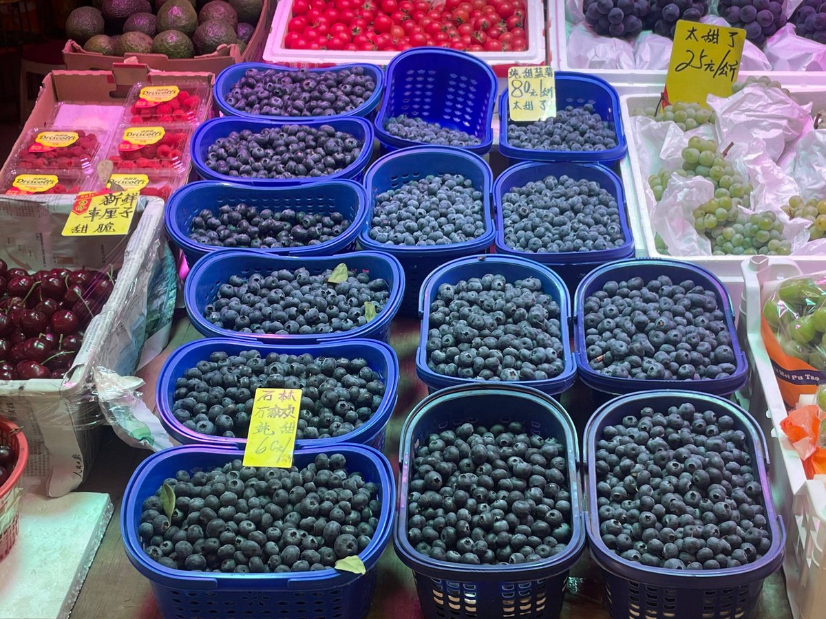 EmeritaRopjek's tweet photo. Just grabbed fresh organic cherry tomatoes, a bag of wild blueberries and some zesty basil from the local farmers’ market – my weekend salad and smoothie ingredients are sorted! https://t.co/e3UZC4gog6