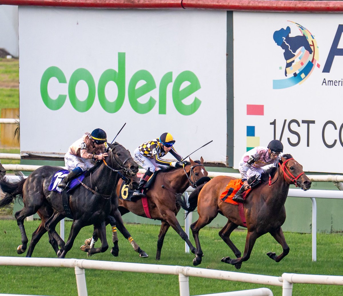 turf_uruguayo's tweet photo. #GPDeHonor
Reina la paridad en este lote fondista que pugnará por la victoria sobre los 2400M(C).
Chance y opiniones para todos los gustos!
#AveRoyal , #NativeExtreme , #Galikovic , #OlympicOlympic entre otros que buscarán empañarle la tarde a los más mentados!
¡IMPERDIBLE! https://t.co/YtPDIkD8eh