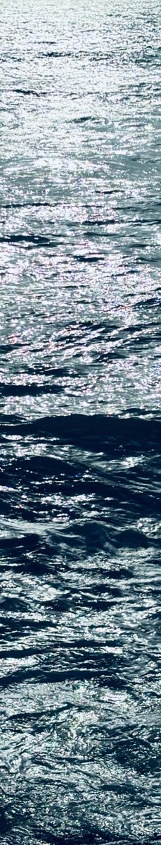 purelivn's tweet photo. shades of sea https://t.co/0JHlOYMNEC