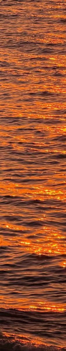 purelivn's tweet photo. shades of sea https://t.co/0JHlOYMNEC