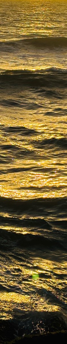 purelivn's tweet photo. shades of sea https://t.co/0JHlOYMNEC