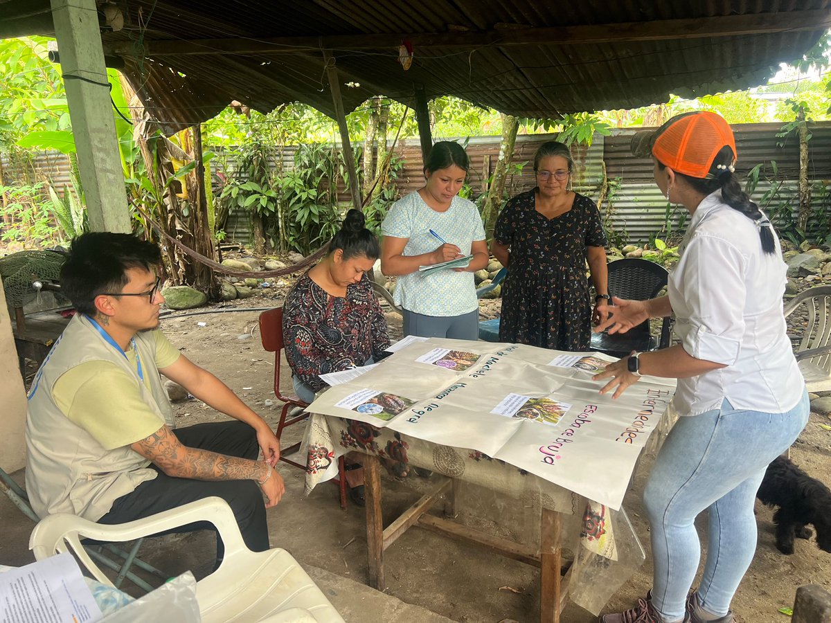 Agricultura_CZ2's tweet photo. #Napo | En la parroquia Puerto Napo, arrancó la formación de brigadistas del proyecto AgroJoven Cacao.

La iniciativa, desarrollada junto a @FAOEcuador, y @AgrocalidadEC, prepara a la juventud rural para aplicar estos conocimientos directamente en territorio. https://t.co/yWVI49KHOH