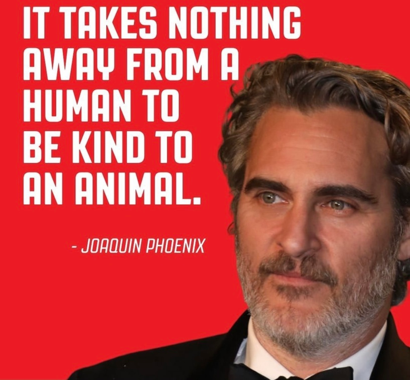 veganfuture's tweet photo. https://t.co/MFrFpXgcJz