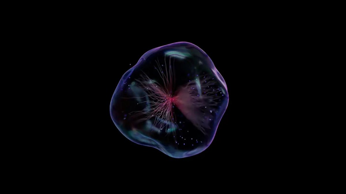 singularityhub's tweet photo. A Digital Cell Predicts Which Drugs Will Be Most Effective in Deadly Breast Cancer https://t.co/W70lakOID9 https://t.co/rxKFffNhW2